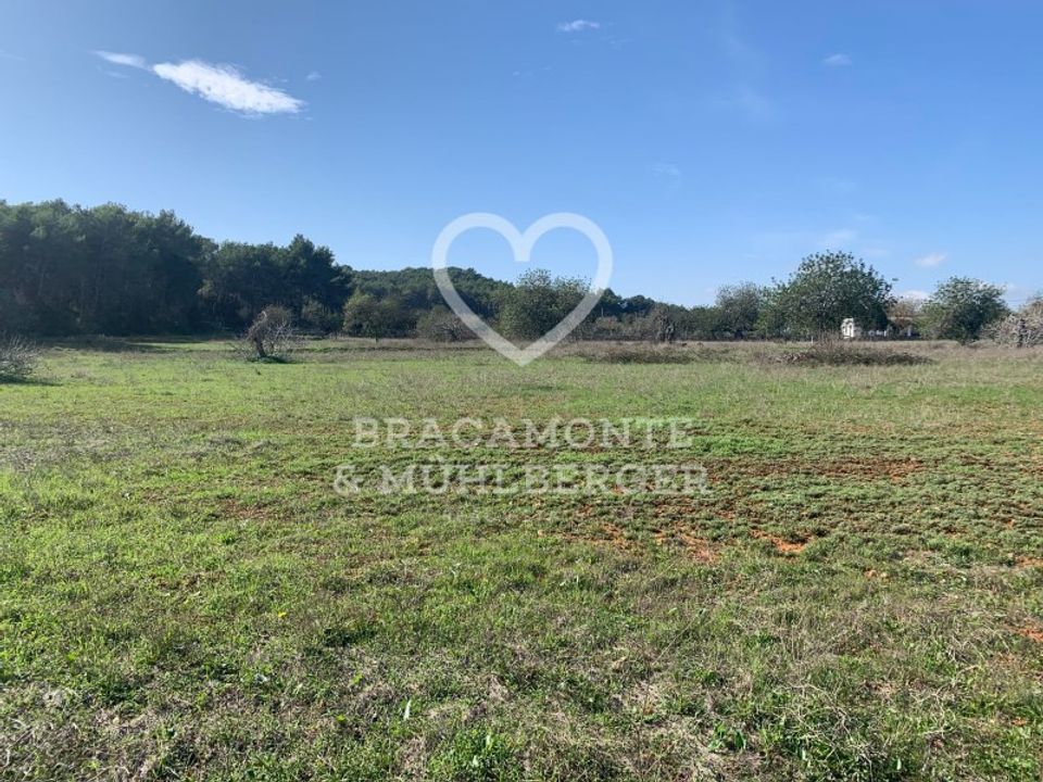 Helårsgrund i Santa Gertrudis De Fruitera, Ibiza - foto 1
