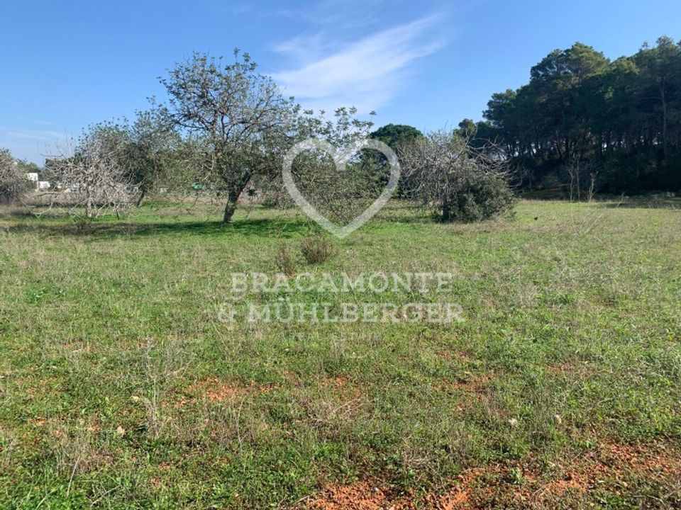 Helårsgrund i Santa Gertrudis De Fruitera, Ibiza - foto 3