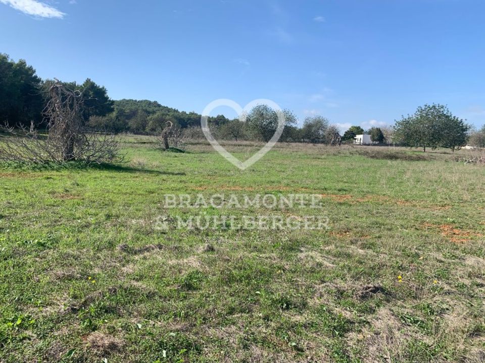 Helårsgrund i Santa Gertrudis De Fruitera, Ibiza - foto 4