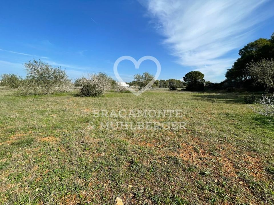Helårsgrund i Santa Gertrudis De Fruitera, Ibiza - foto 5