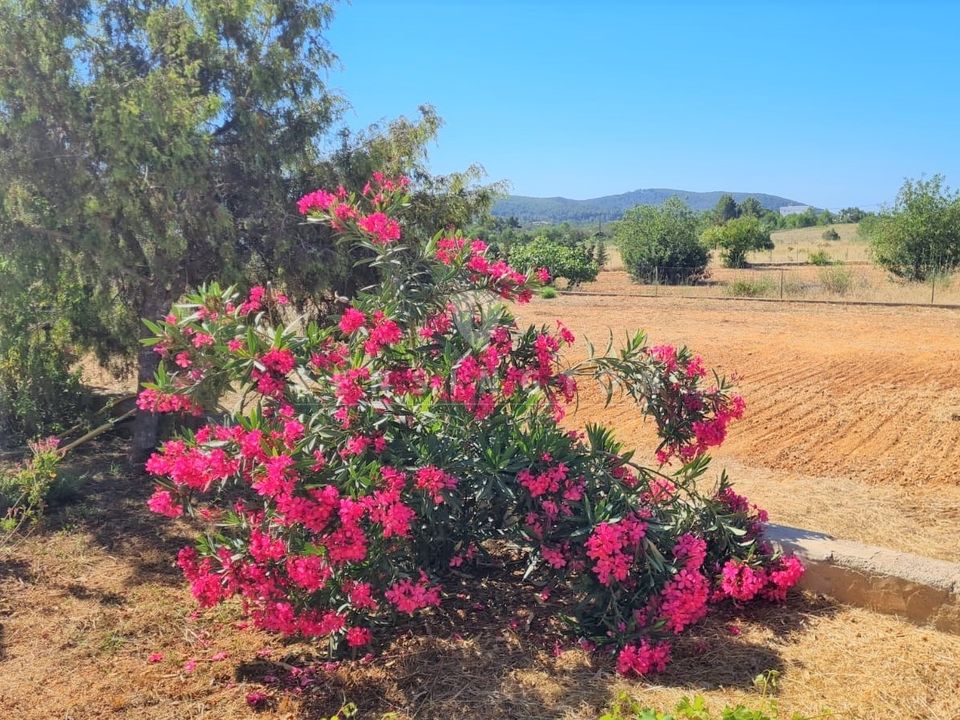 Villa in Cala De San Vicente Ibiza, Ibiza - foto 4