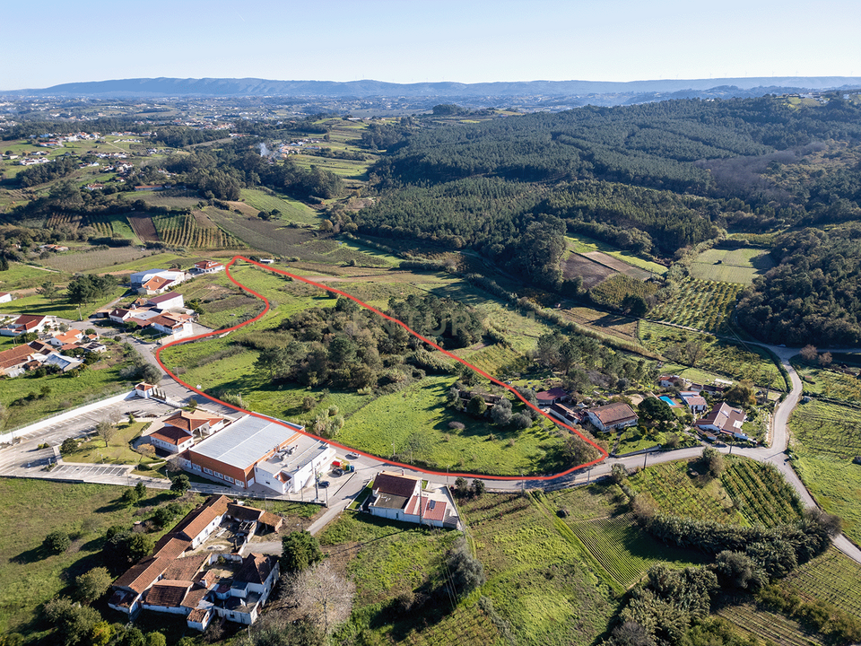 Villa i Alcobaca, Leiria - foto 1