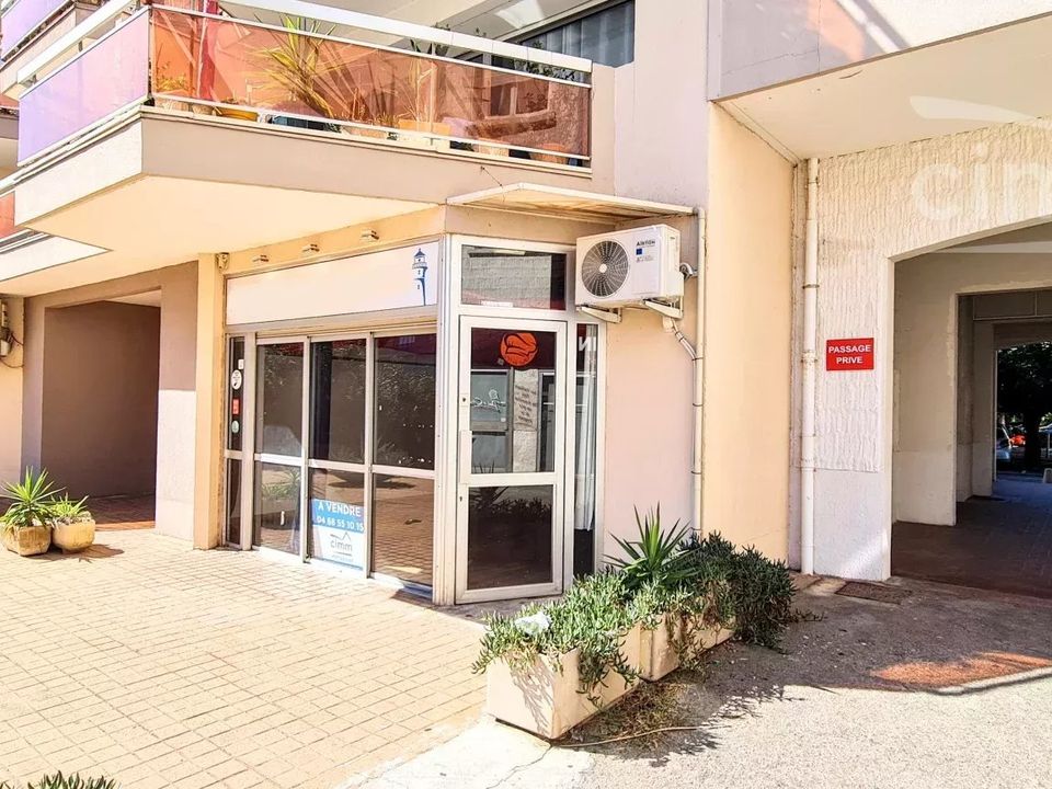 Erhvervsejendom i Saint-Cyprien, Pyrenees-Orientales - foto 1