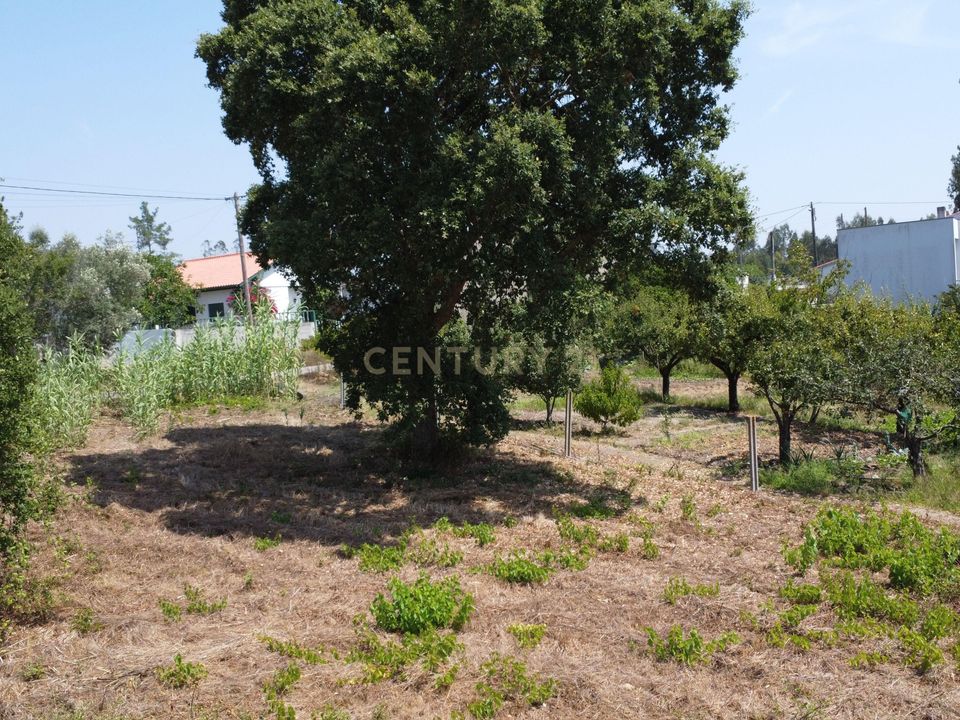 Helårsgrund i Leiria, Leiria - foto 3