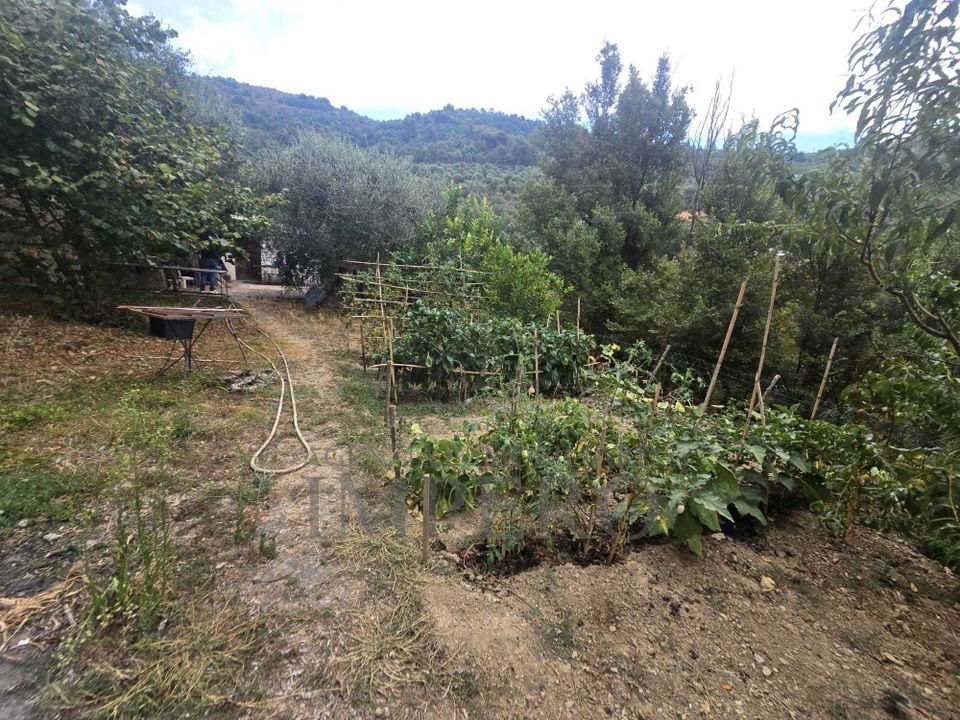 Villa i Dolceacqua, Imperia - foto 1