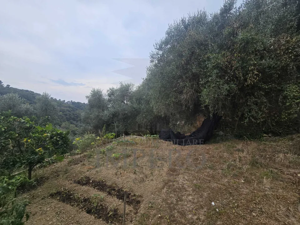 Villa i Dolceacqua, Imperia - foto 2
