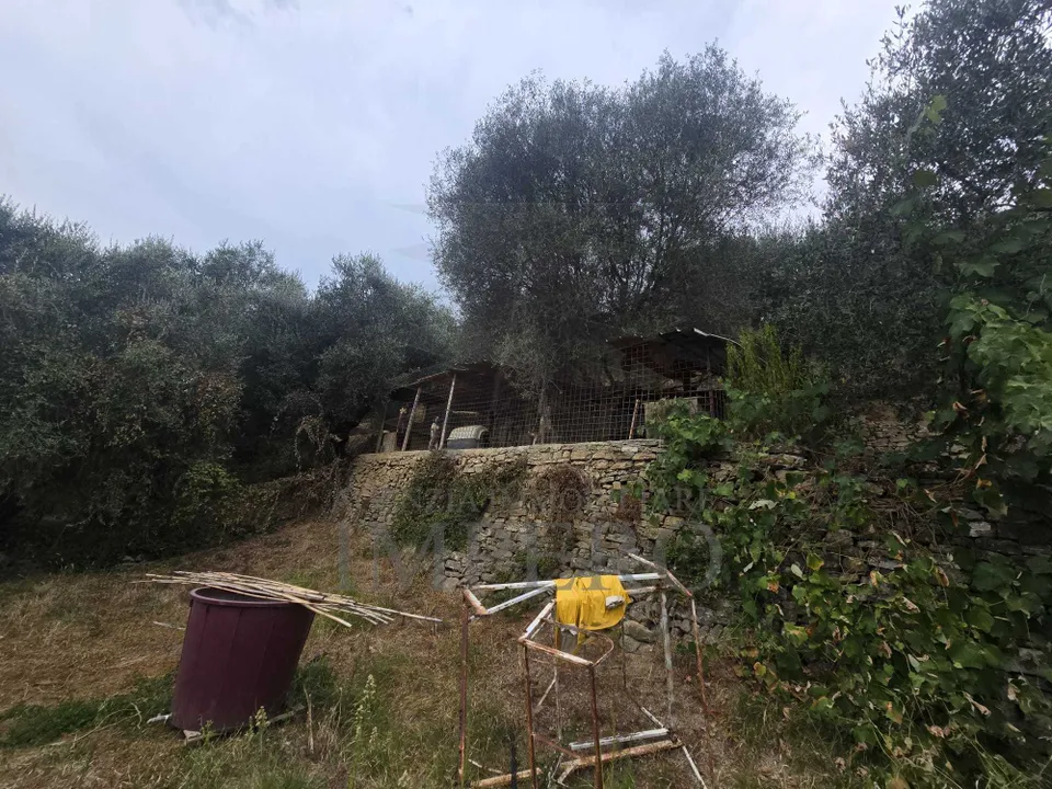 Villa i Dolceacqua, Imperia - foto 3