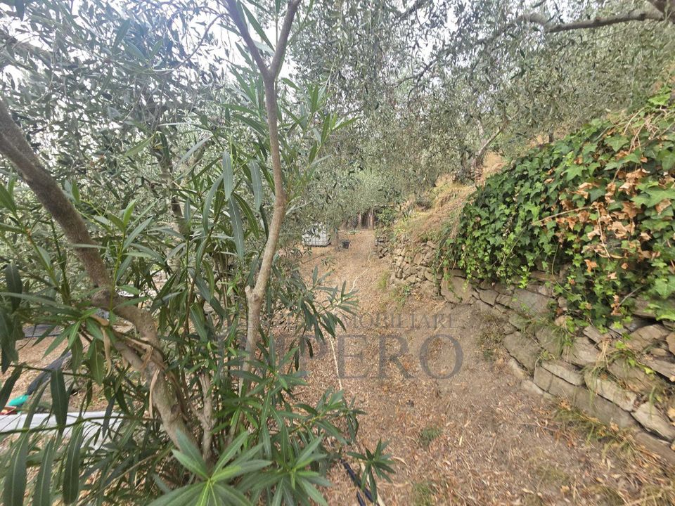Villa i Dolceacqua, Imperia - foto 4