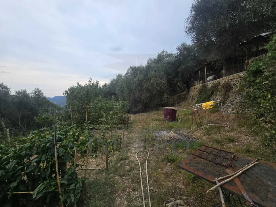 Villa i Dolceacqua, Imperia - foto 5