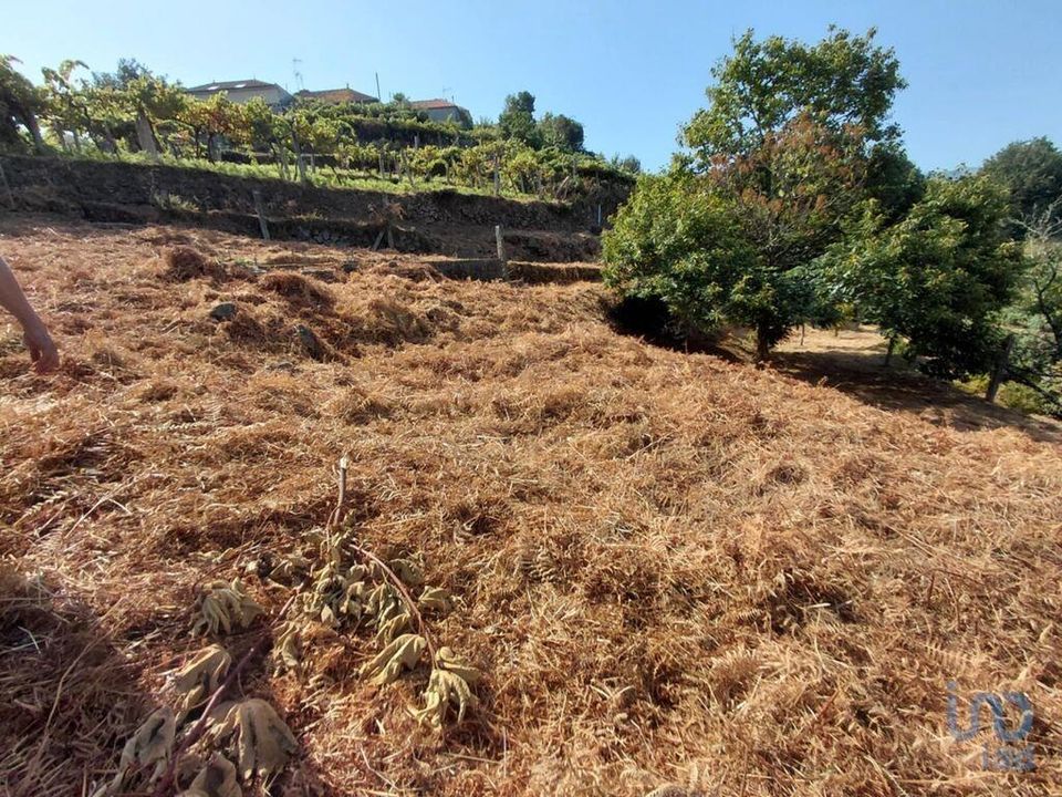 Helårsgrund i Melgaco, Viana do Castelo - foto 2