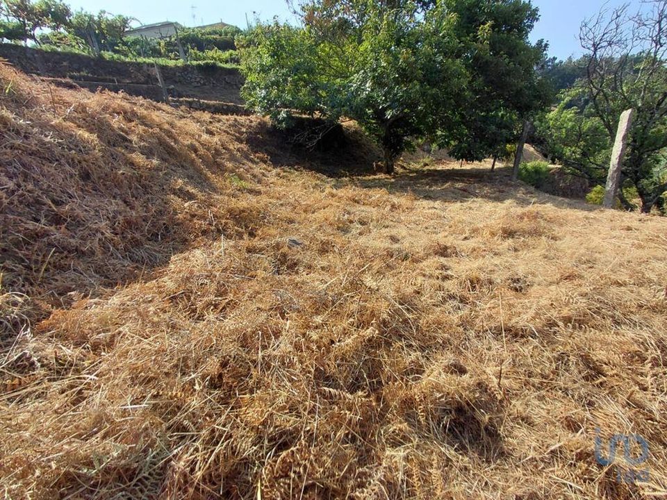 Helårsgrund i Melgaco, Viana do Castelo - foto 5