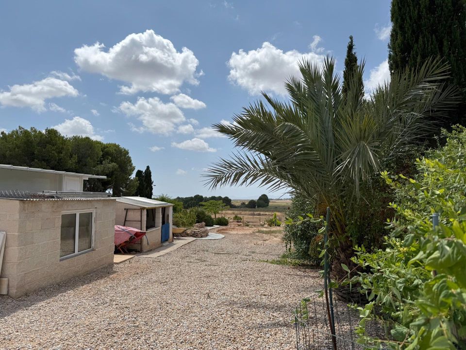 Finca i Torre Pacheco, Murcia - foto 5