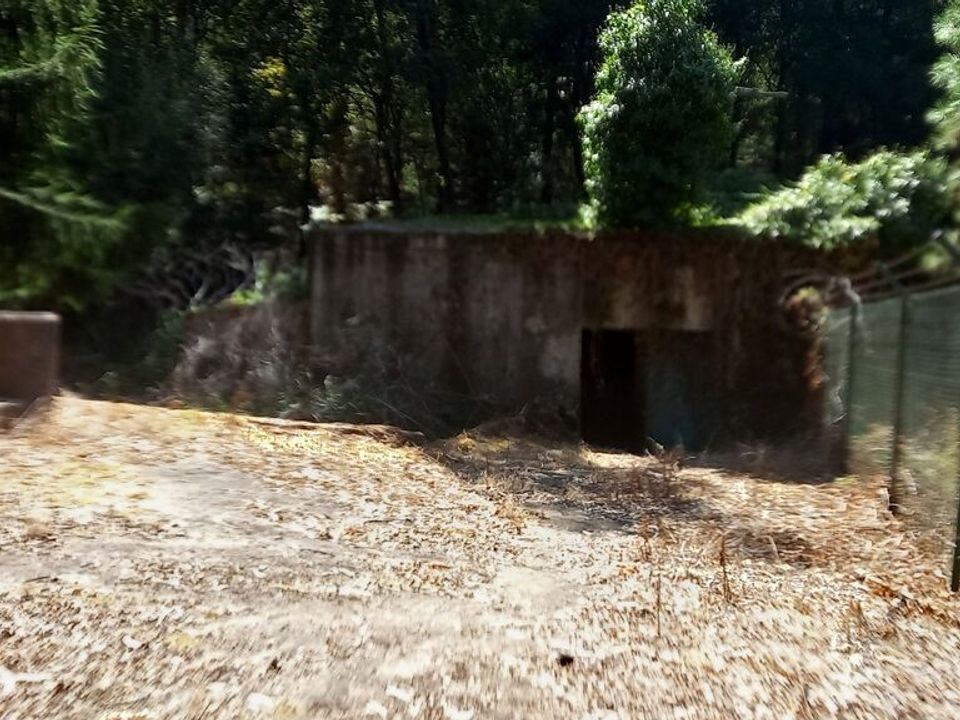 Helårsgrund i Valenca, Viana do Castelo - foto 4