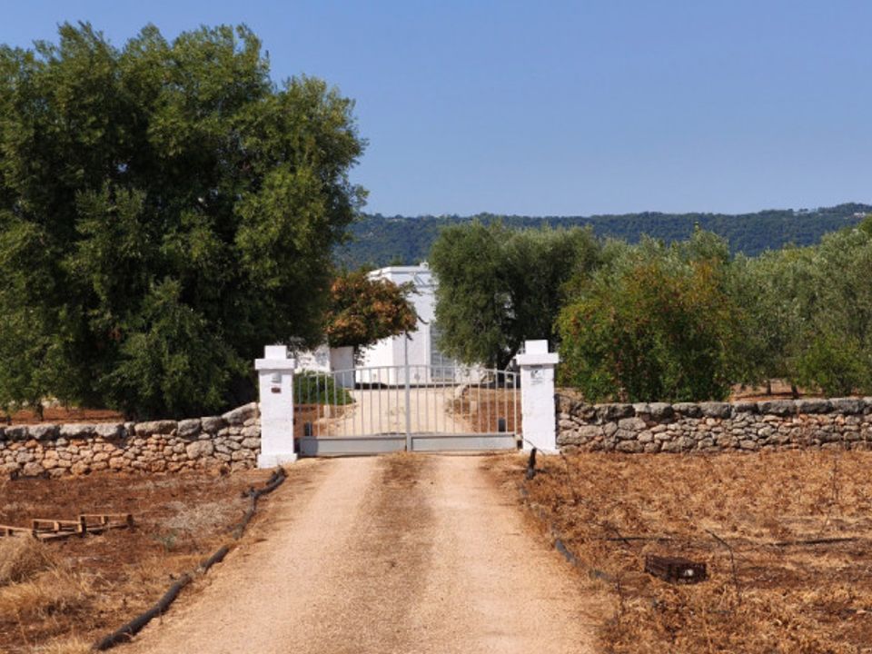 Landejendom i Fasano, Brindisi - foto 2