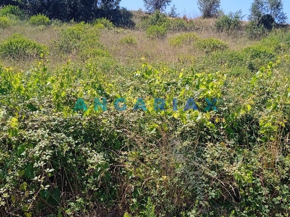 Helårsgrund i Batalha, Leiria - foto 1