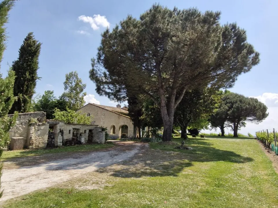 Villa i Saint-Fort-sur-Gironde, Charente-Maritime - foto 4