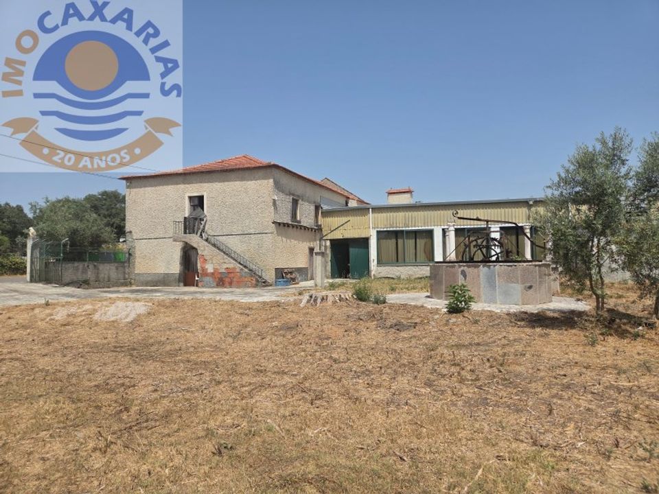 L'establiment comercial a Freixianda, Santarem - foto 1