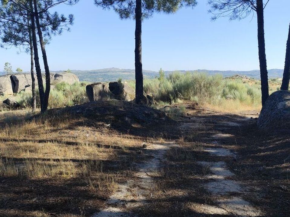 Helårsgrund i Sernancelhe, Viseu - foto 5
