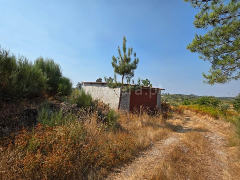 Farm i Seia, Guarda - foto 1