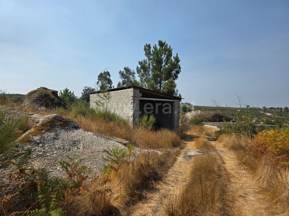 Farm i Seia, Guarda - foto 2
