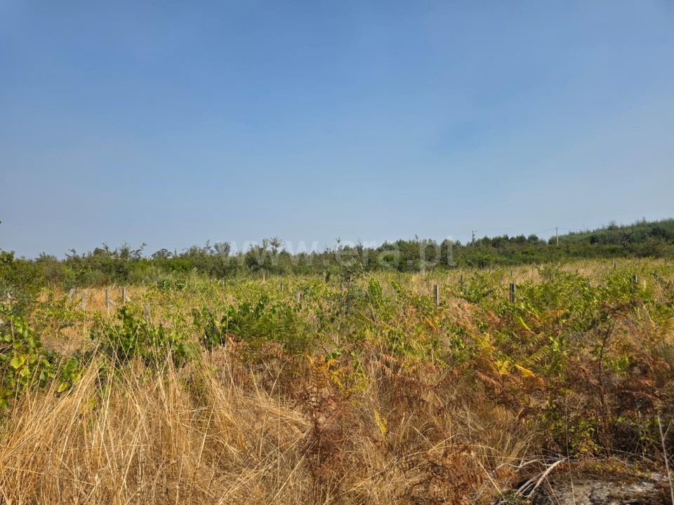 Farm i Seia, Guarda - foto 4