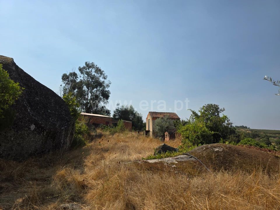 Farm i Seia, Guarda - foto 5