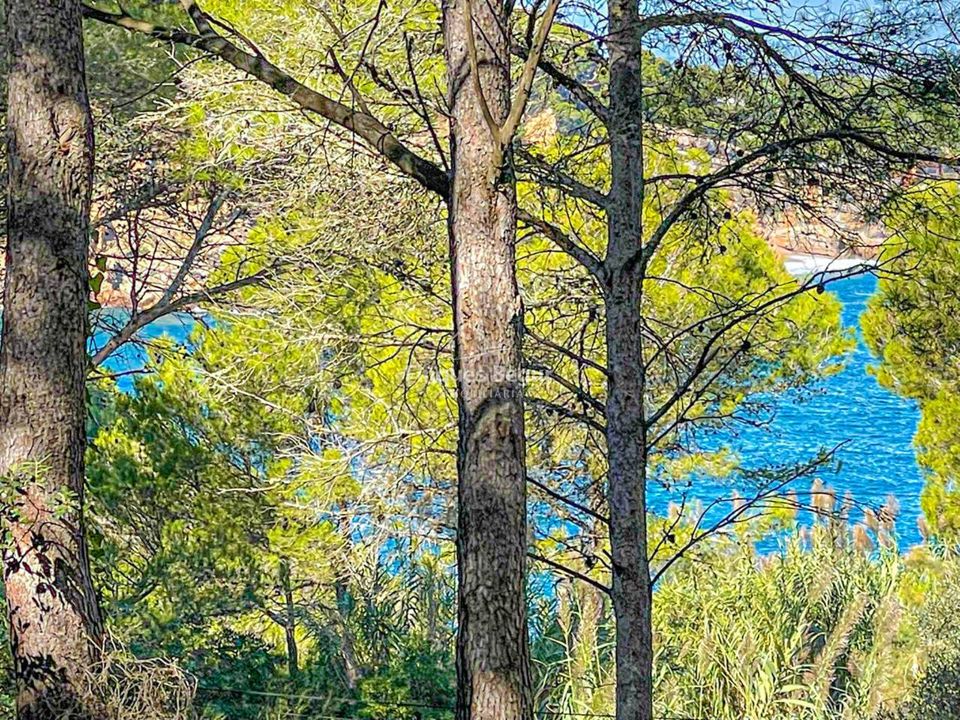 Helårsgrund i Begur, Gerona - foto 4