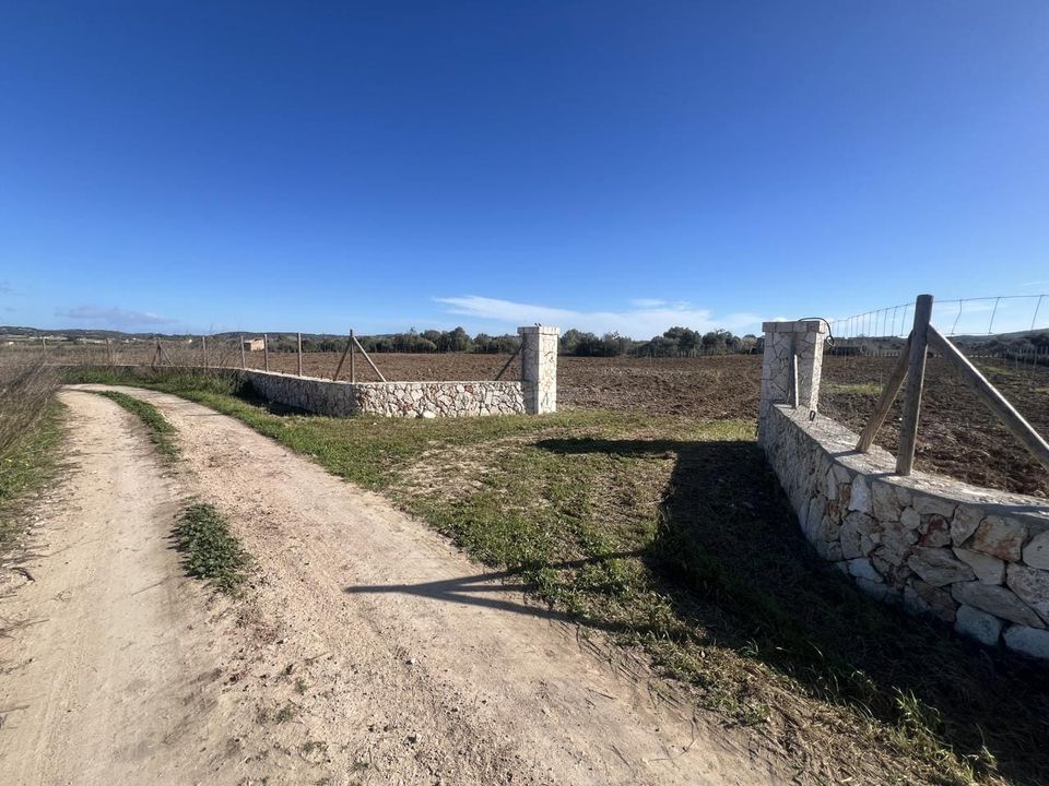 Finca a Algaida, Mallorca - foto 2