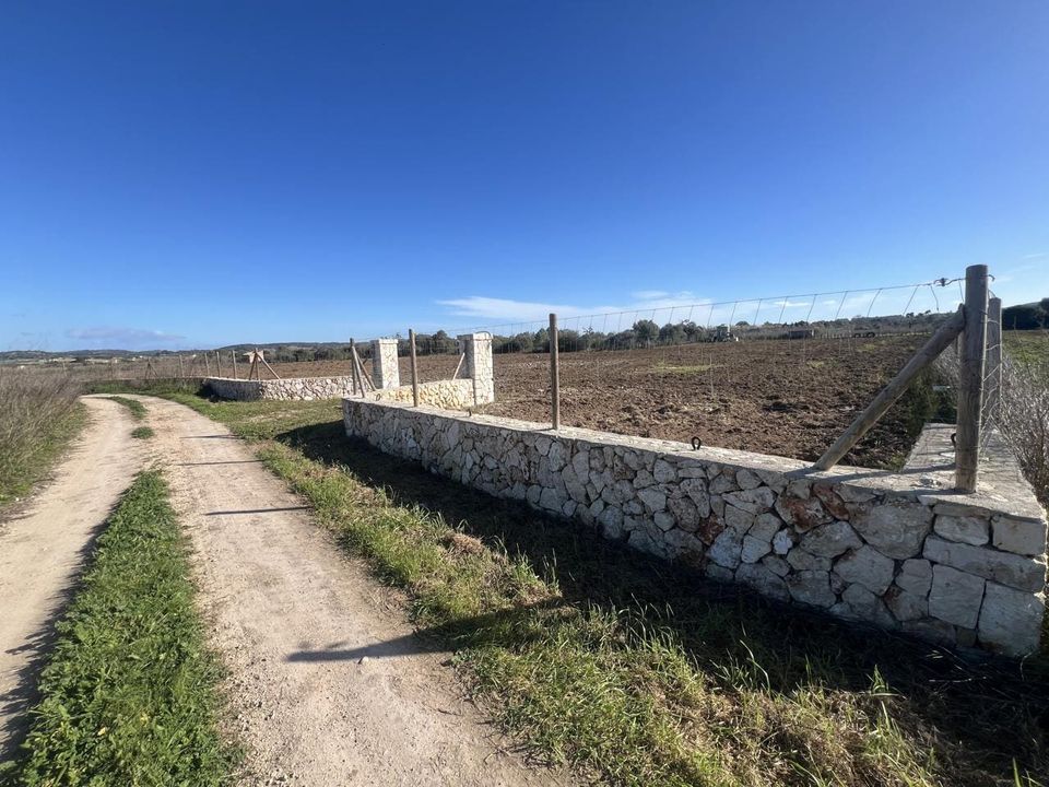 Finca a Algaida, Mallorca - foto 4