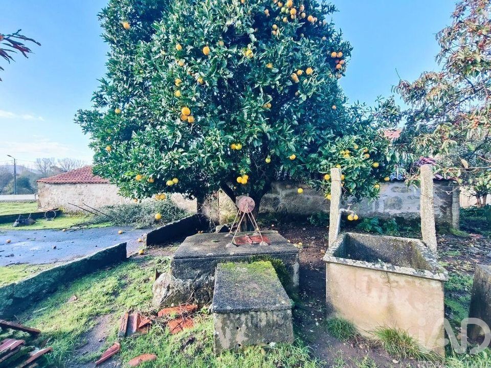 Radhus i Valenca, Viana do Castelo - foto 5