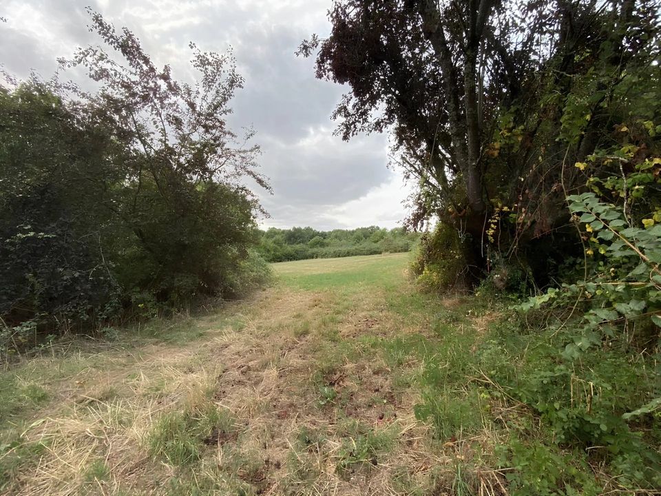 Villa i Charroux, Vienne - foto 2