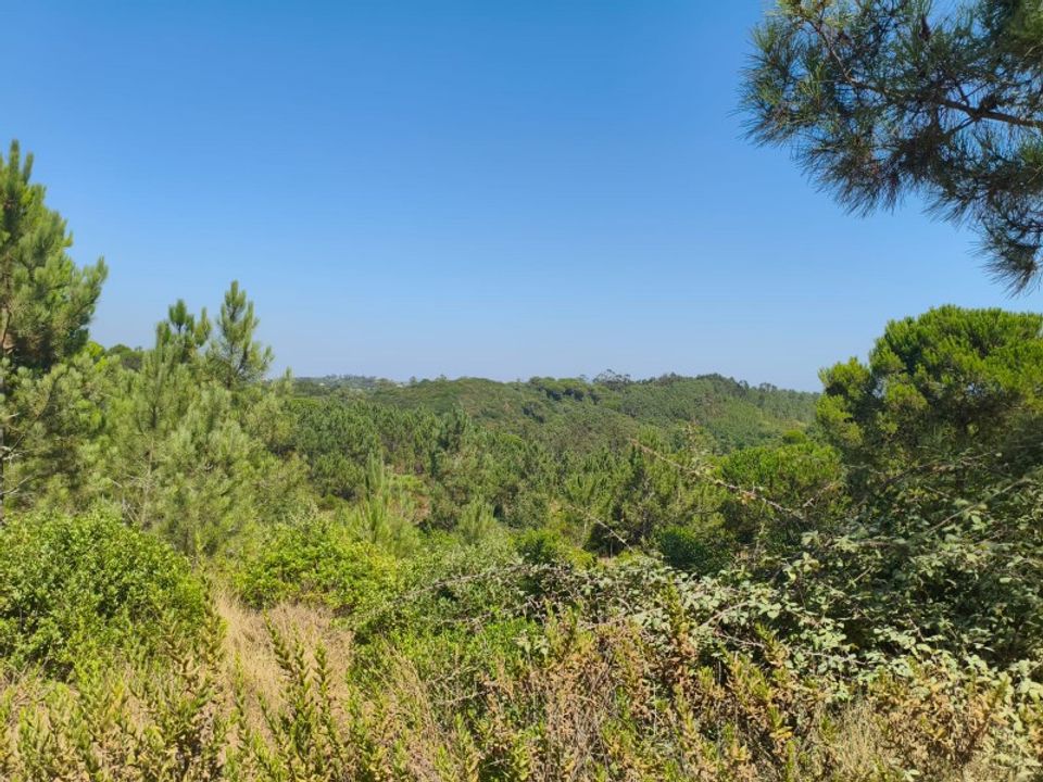 Helårsgrund i Sesimbra, Setubal - foto 4
