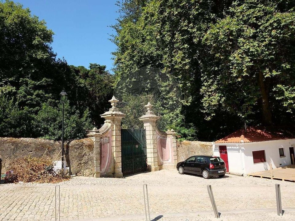 Apartment in Sintra, Lisbon - photo 5