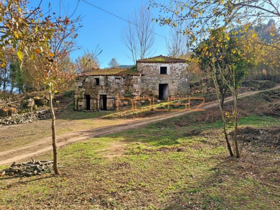 Farm i Tarouquela, Viseu - foto 2