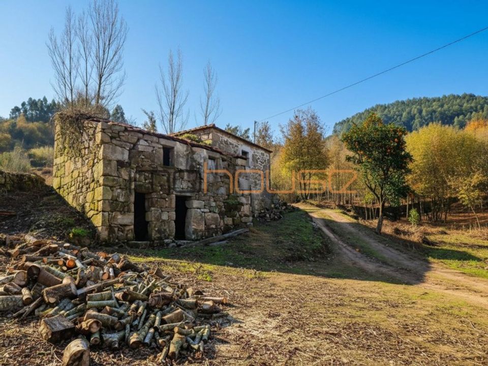Farm i Tarouquela, Viseu - foto 4