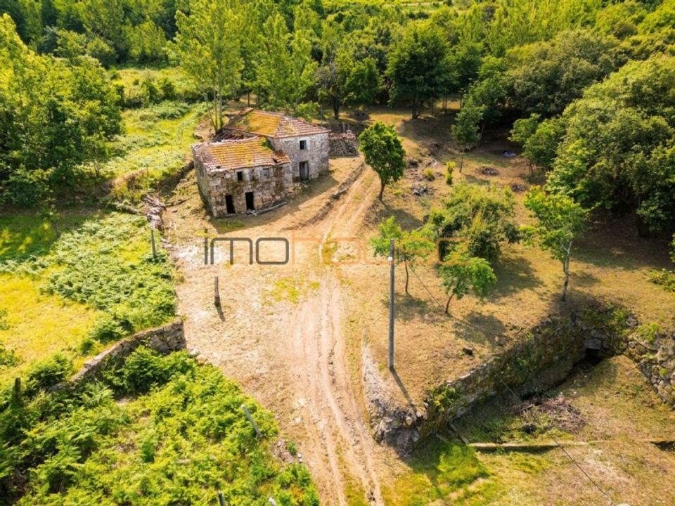 Farm i Tarouquela, Viseu - foto 1