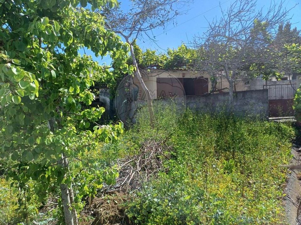Villa i Calheta, Madeira - foto 5