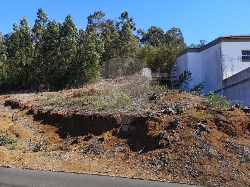 Helårsgrund i Santa Cruz, Madeira - foto 4