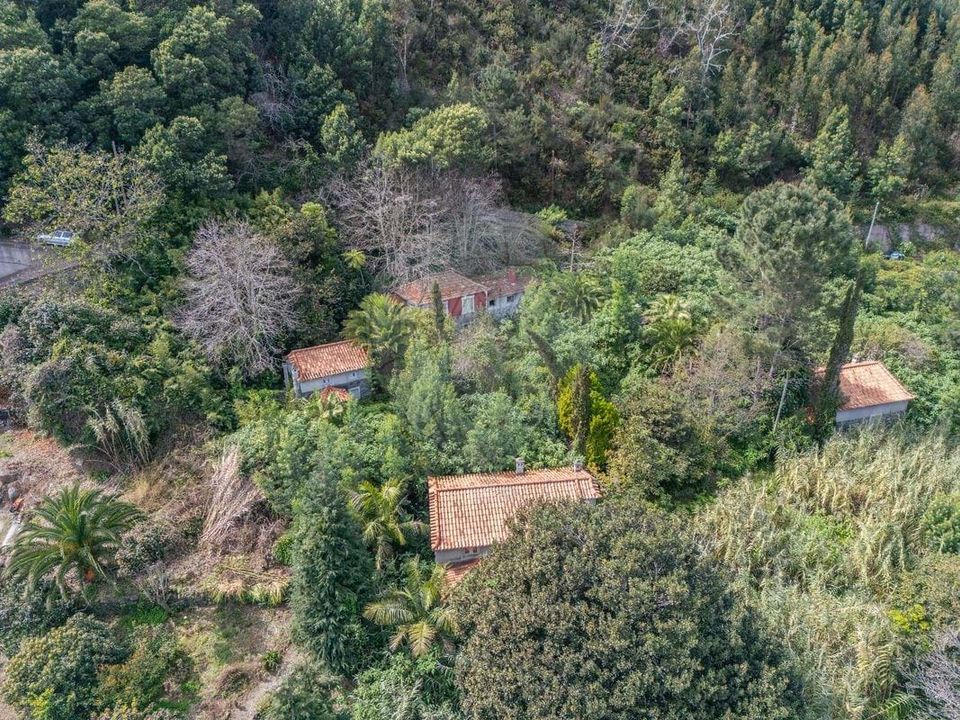 Villa i Santa Cruz, Madeira - foto 4