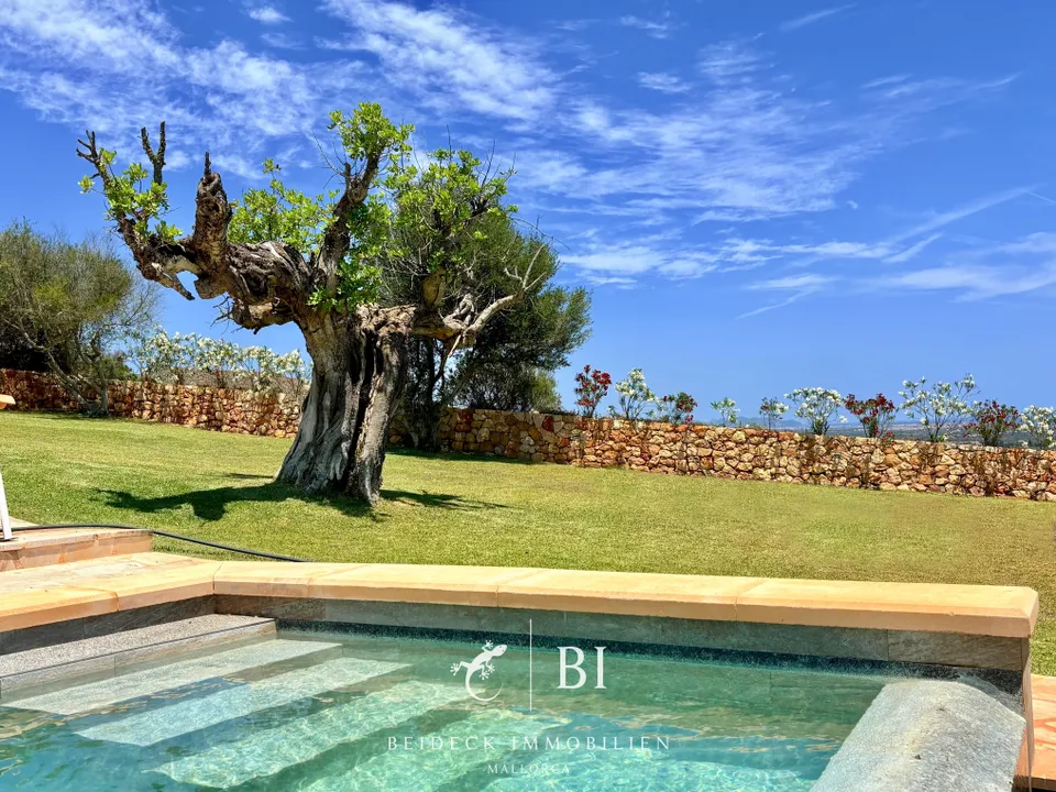Finca i Son Macia, Mallorca - foto 2