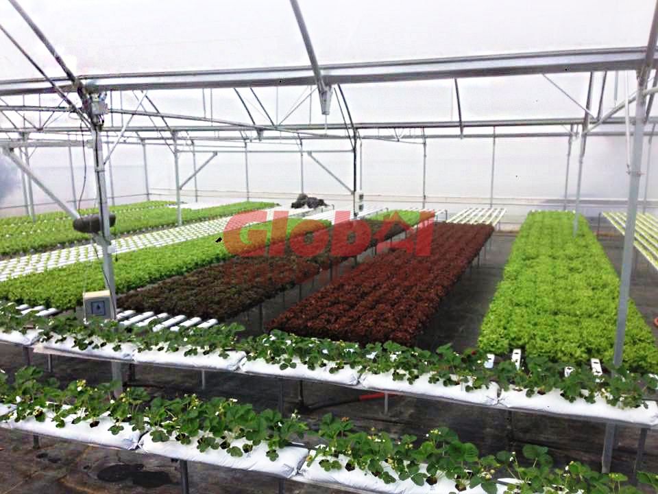Farm i Mangualde, Viseu - foto 1