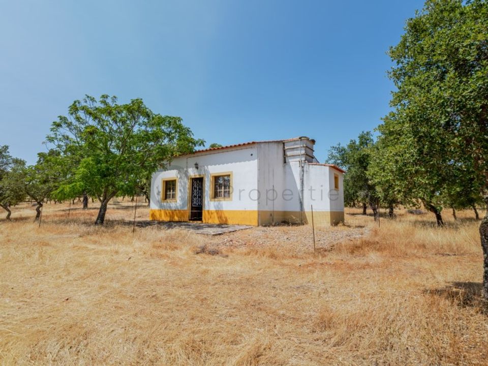 Farm i Vila Verde de Ficalho, Beja - foto 1