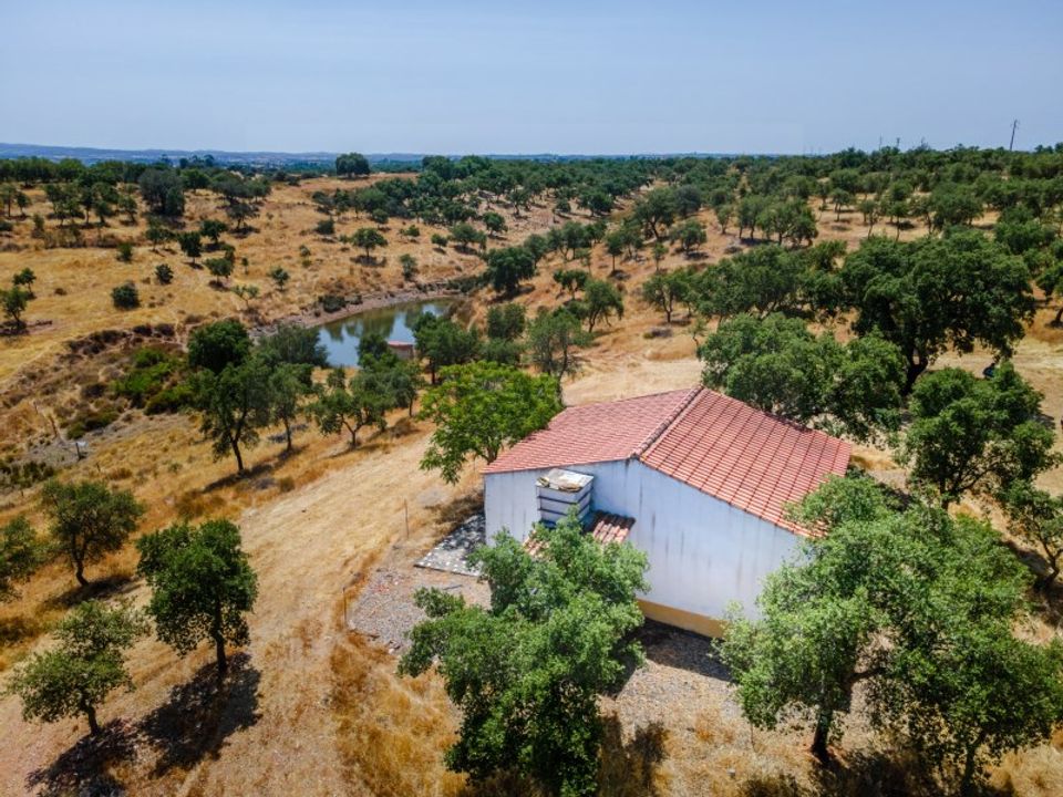 Farm i Vila Verde de Ficalho, Beja - foto 3