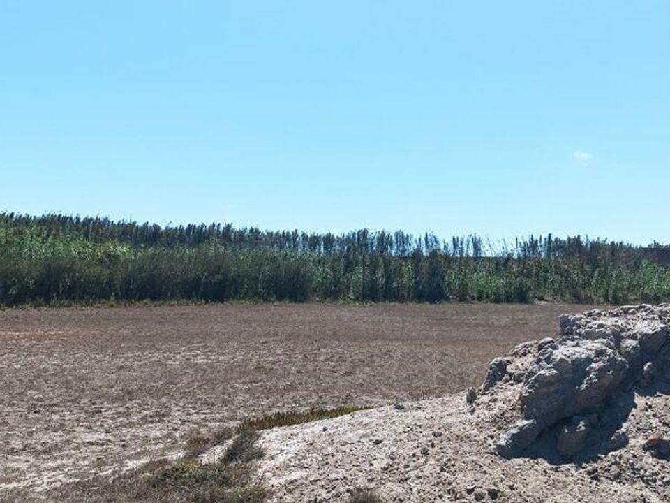 Tomt i Peniche, Leiria - bilde 4