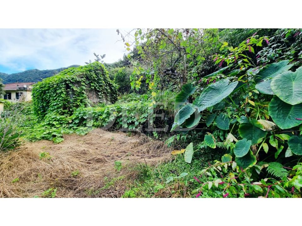 Villa i Sao Vincente, Madeira - foto 5