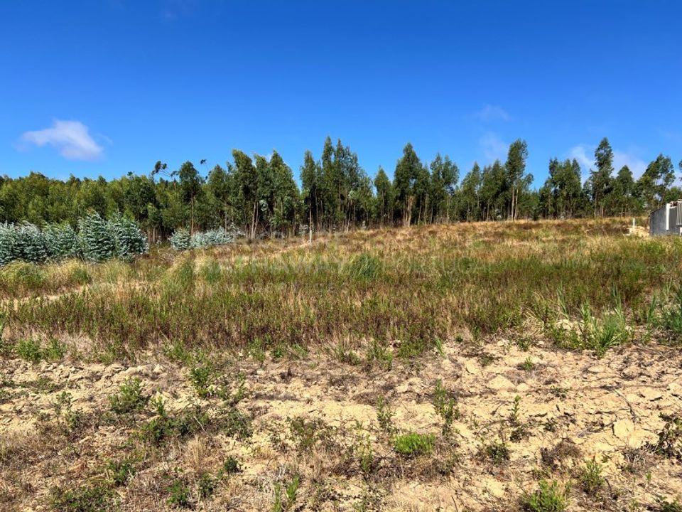 Helårsgrund i Torres Vedras, Lisbon - foto 1