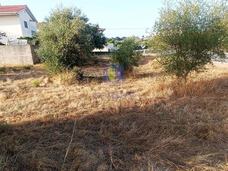 Helårsgrund i Alcanena, Santarem - foto 5