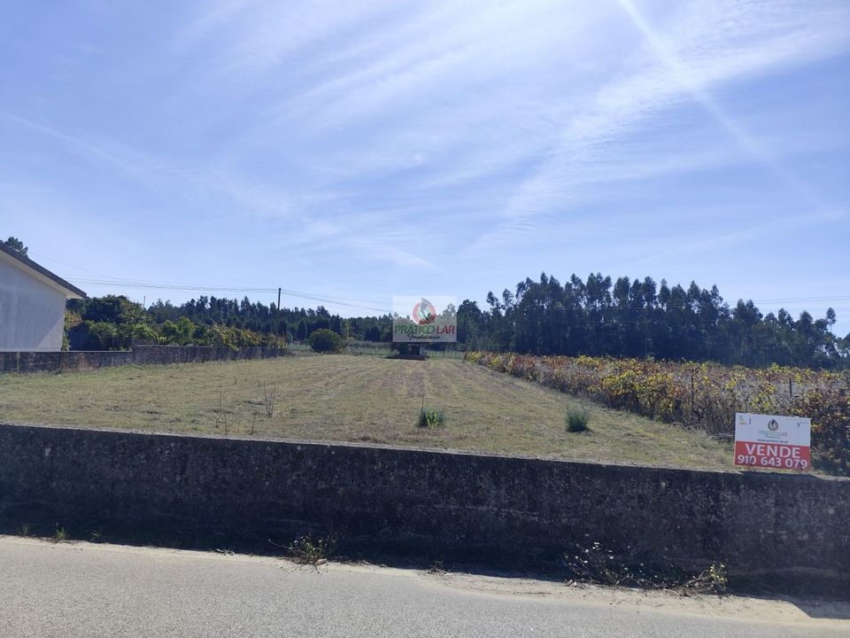 Helårsgrund i Anadia, Aveiro - foto 1