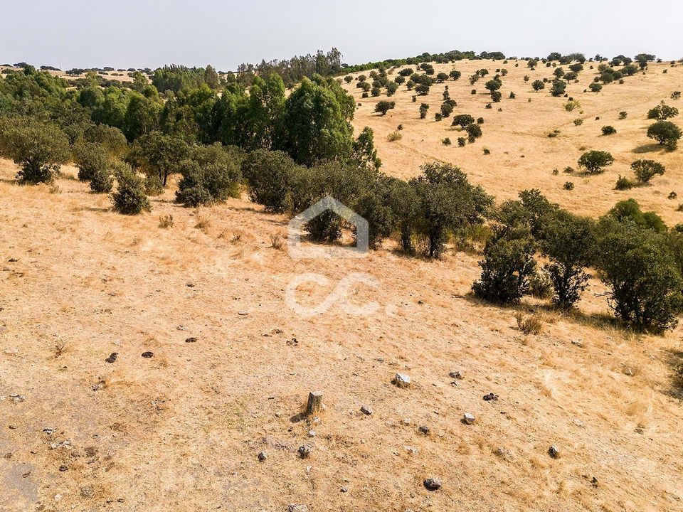 Helårsgrund i Reguengos de Monsaraz, Evora - foto 3