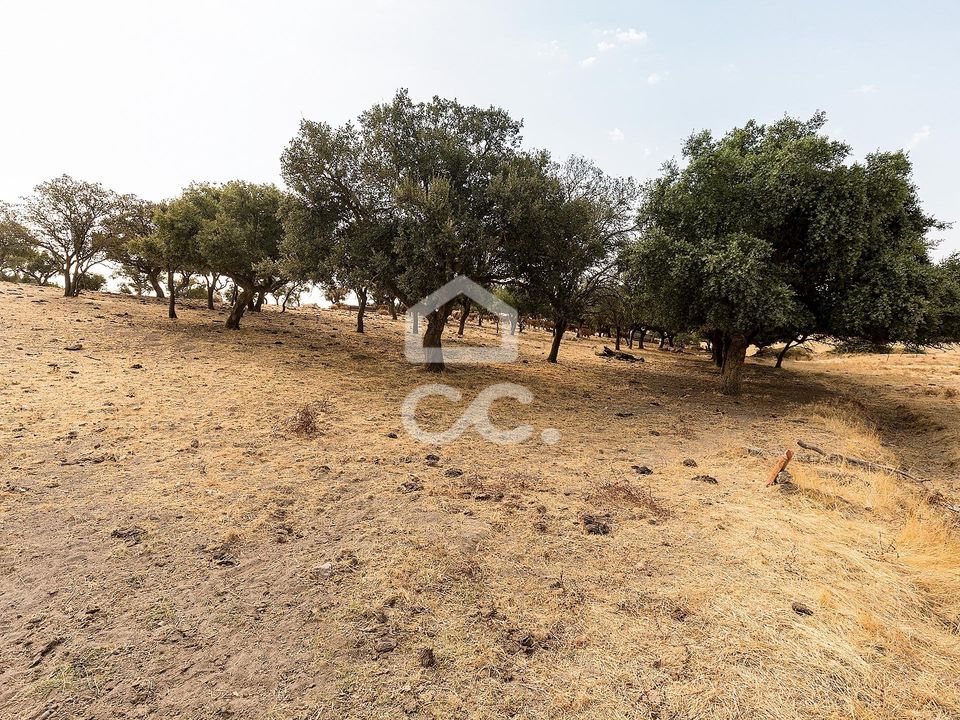 Helårsgrund i Reguengos de Monsaraz, Evora - foto 2